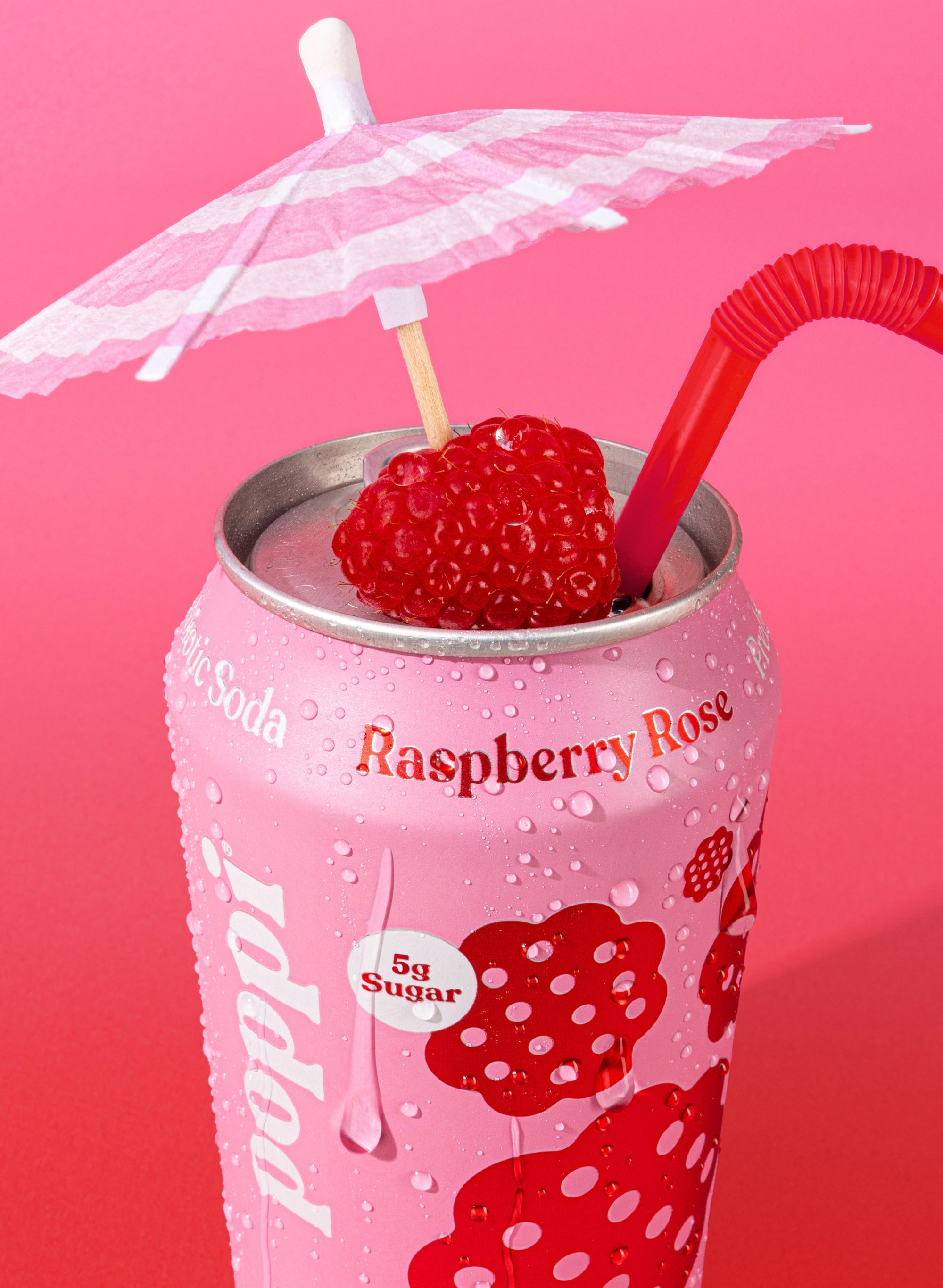 Raspberry Rose